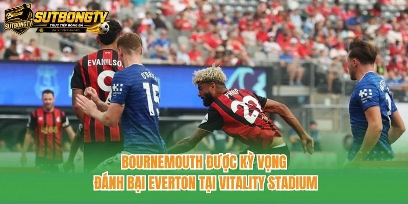 Bournemouth được kỳ vọng đánh bại Everton tại Vitality Stadium