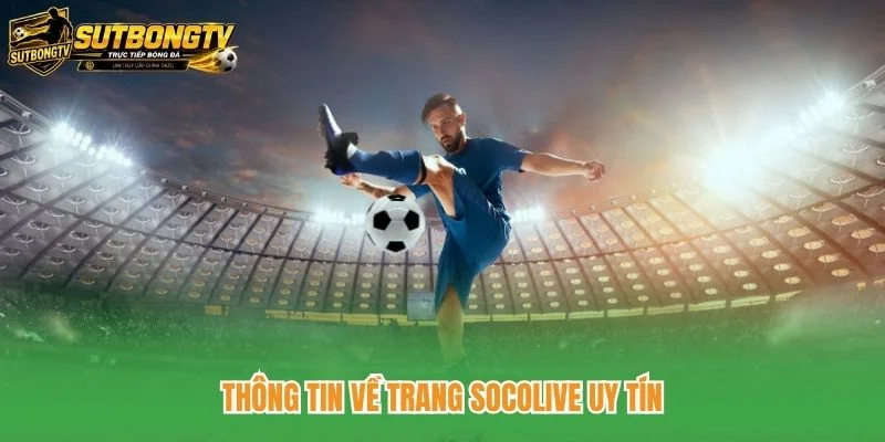 Thông tin về trang Socolive uy tín